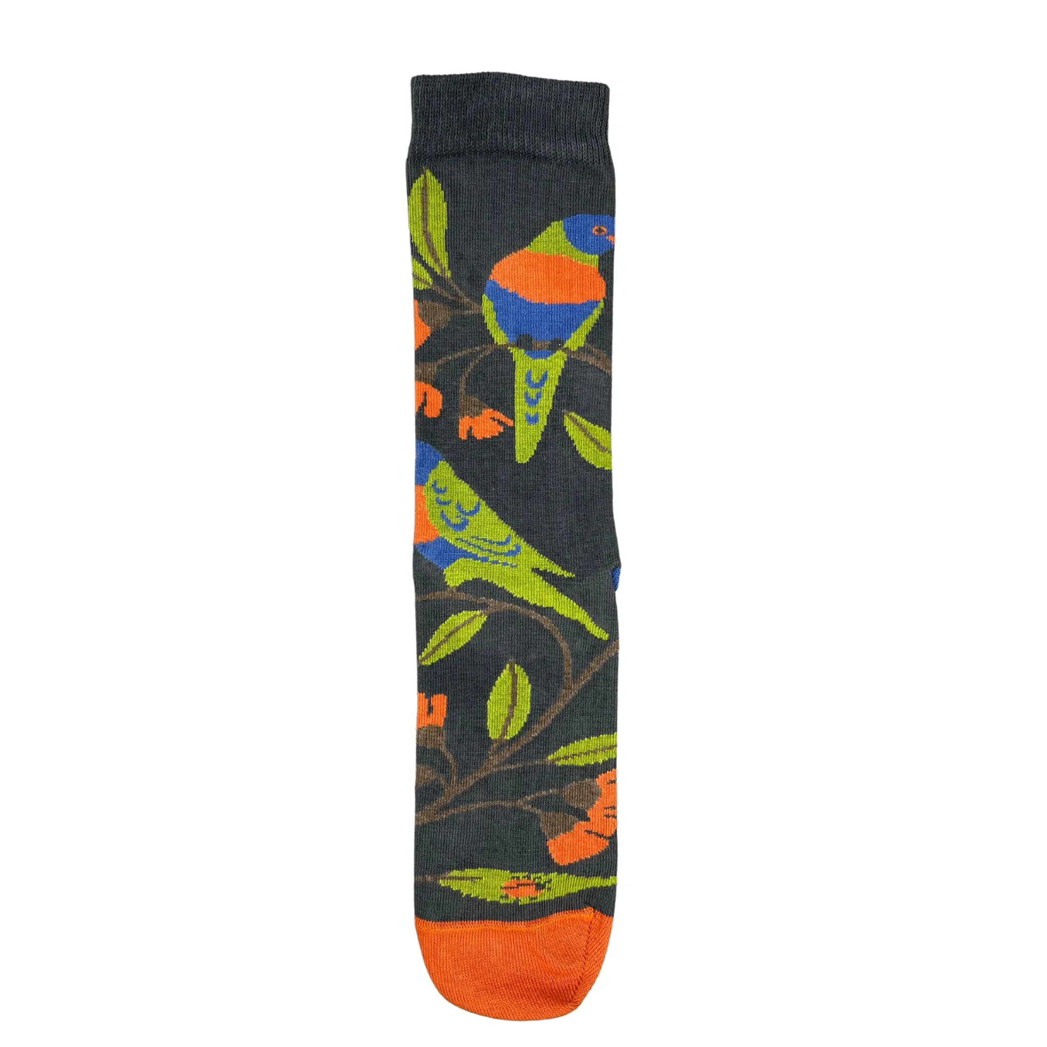 Rainbow Lorikeet Crew Socks - Australian Bird Range